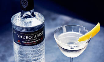 10-Gins-So-Good-Youll-Want-To-Drink-Them-Neat